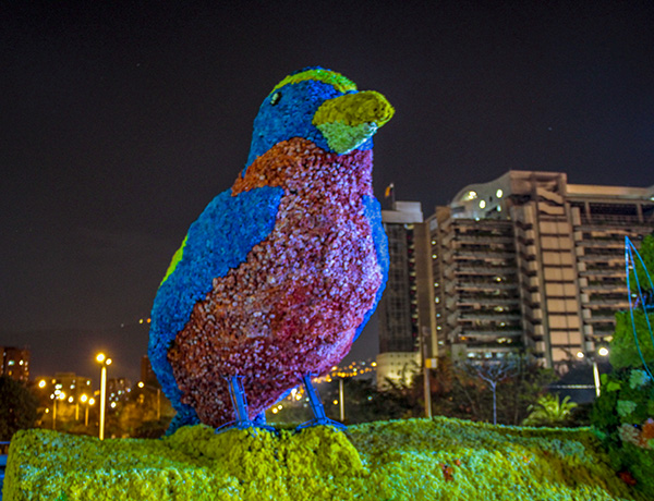 Feria de las Flores em Medellín - dicas