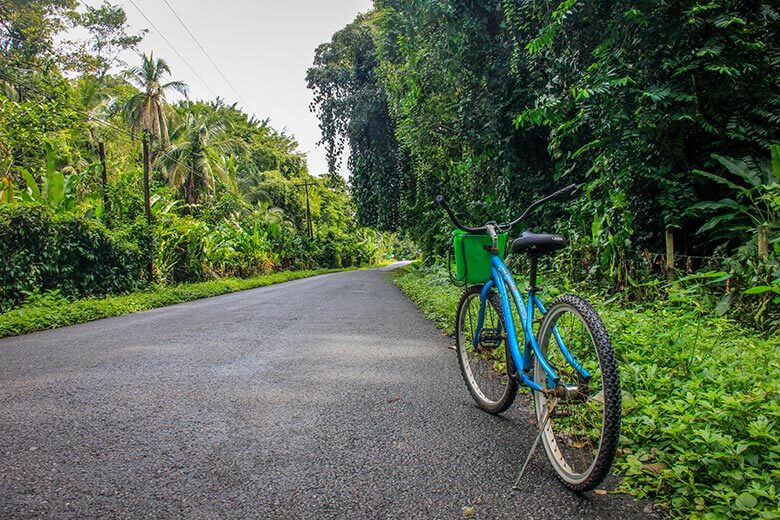 como chegar em Puerto Viejo