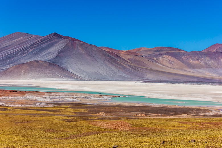 Deserto do Atacama