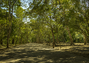 Honduras