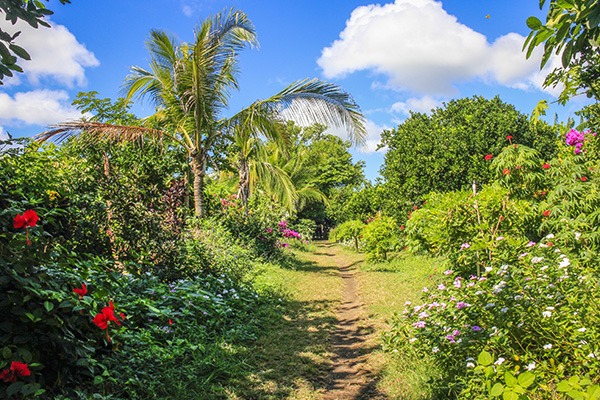 Isla Ometepe