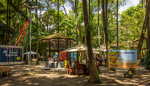 parques em São Paulo