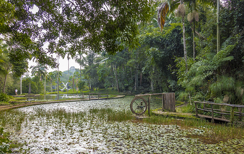 Jardim Botânico de São Paulo - preço