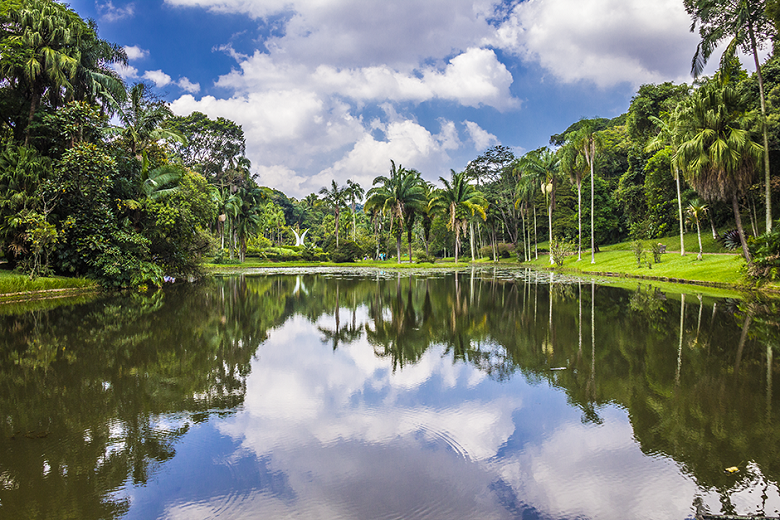 tudo sobre o Jardim Botânico de São Paulo