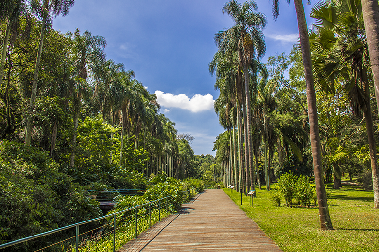 imagens do Jardim Botânico de São Paulo