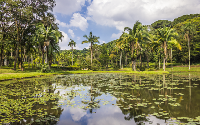 Jardim Botânico de São Paulo - dicas