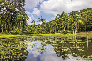 Jardim Botânico de São Paulo