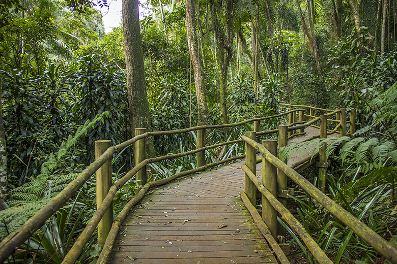 o que fazer no Jardim Botânico de São Paulo