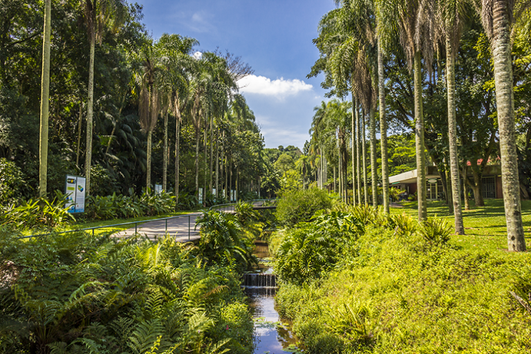 Jardim Botânico de São Paulo Oásis na Selva de Pedra Jardim Botânico de São Paulo Oásis na Selva de Pedra