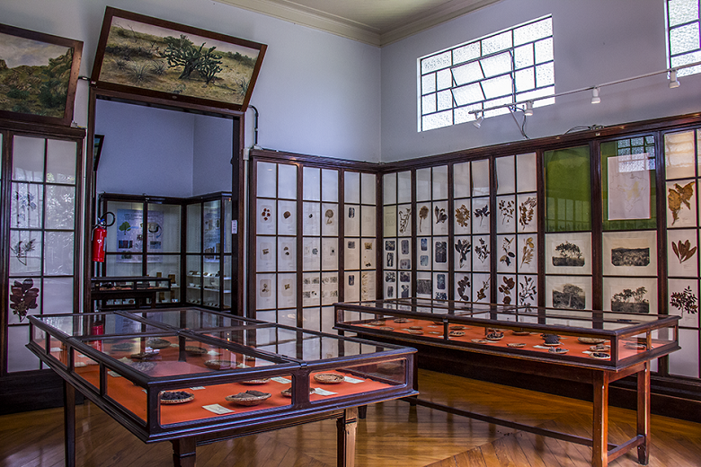 museu no Jardim Botânico de São Paulo