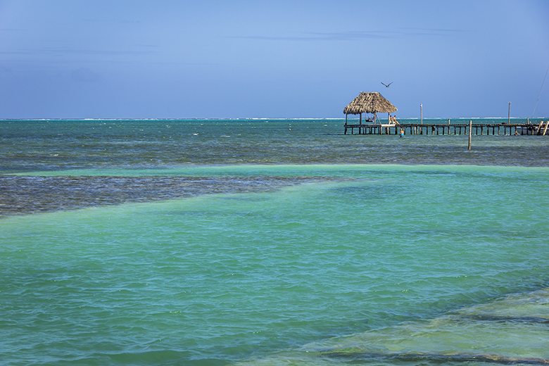 Caye Caulker