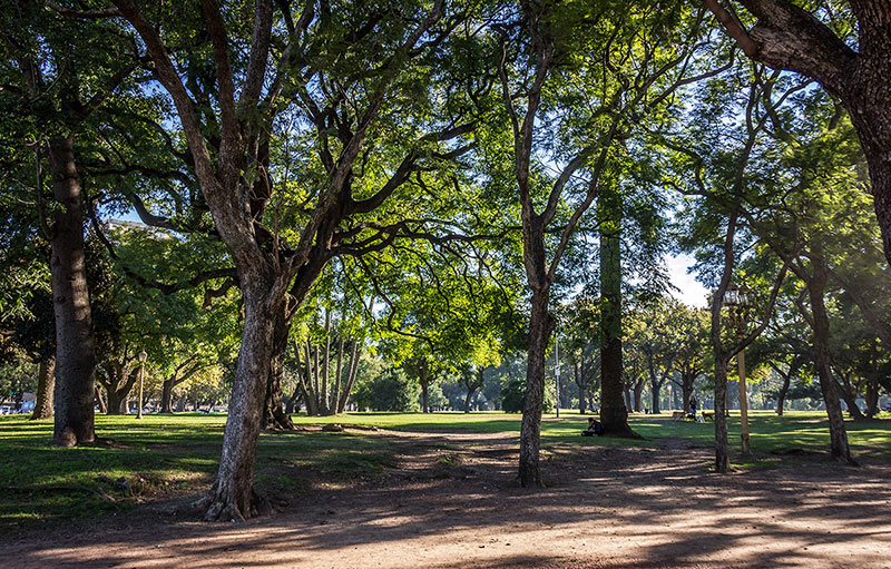 bosques de Palermo em Buenos Aires