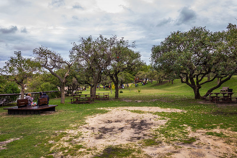 passeios em Buenos Aires - Reserva Ecologica