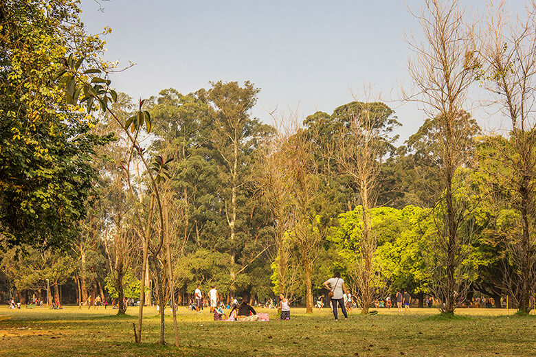 são paulo roteiro - ibirapuera