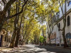 hostels em Montevidéu - dicas