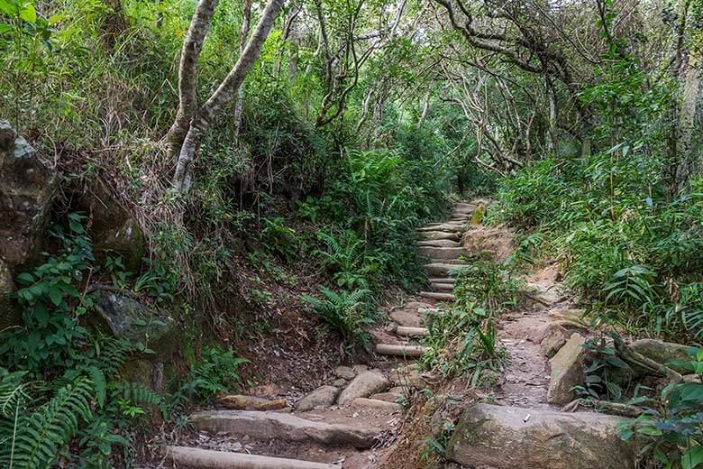 passeios em Floripa - Trilhas