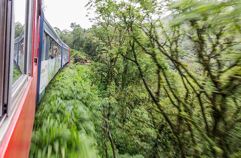 quanto custa o passeio de trem Morretes