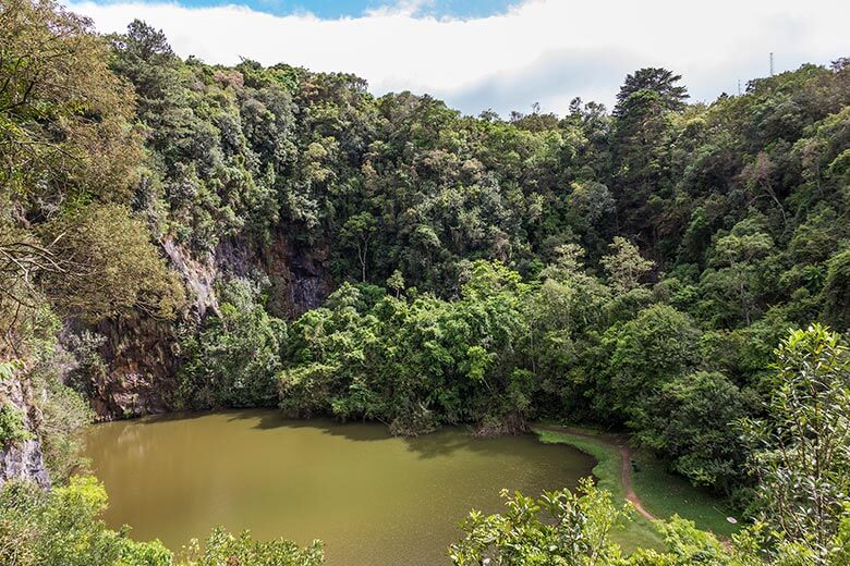parques de Curitiba abertos