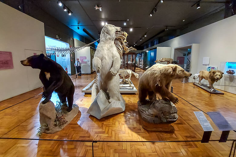 museus em São Paulo para crianças