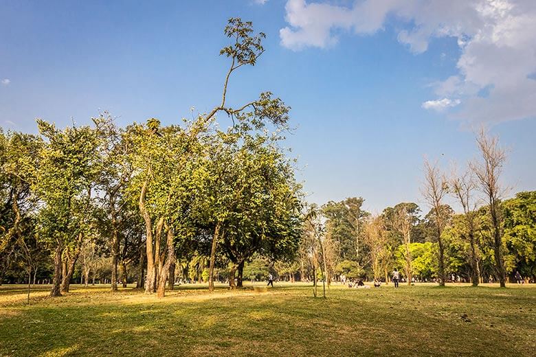 Parque Ibirapuera - Ponto Turístico em São Paulo