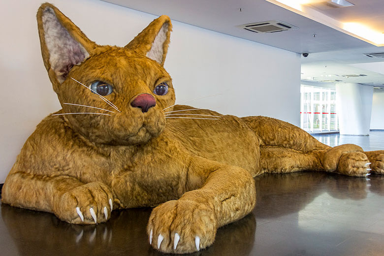 Museus de Arte Contemporânea São Paulo