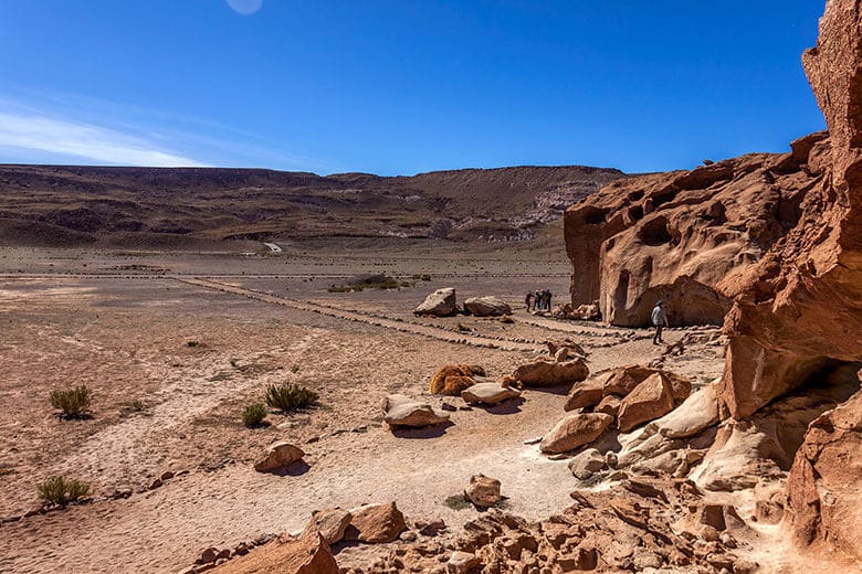 Hierbas Buenas no Deserto do Atacama