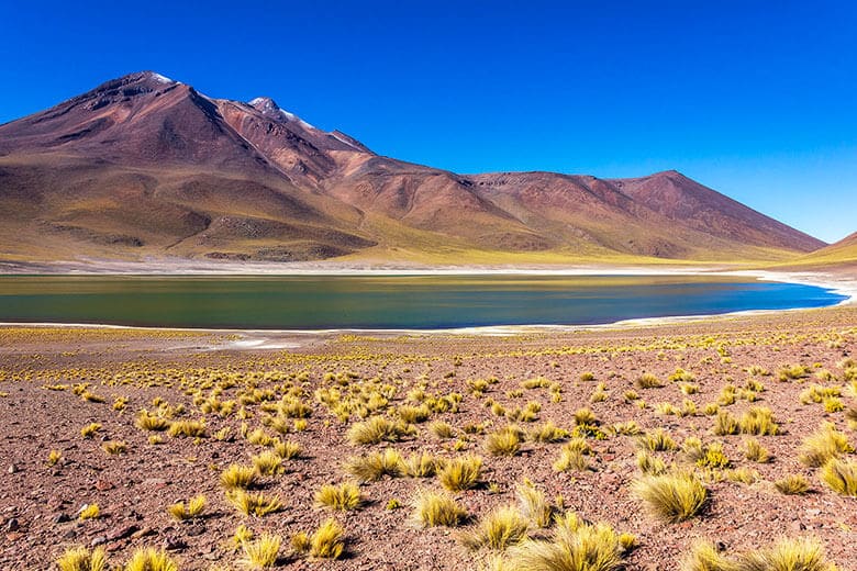 Laguna Miñiques no Deserto do Atacama