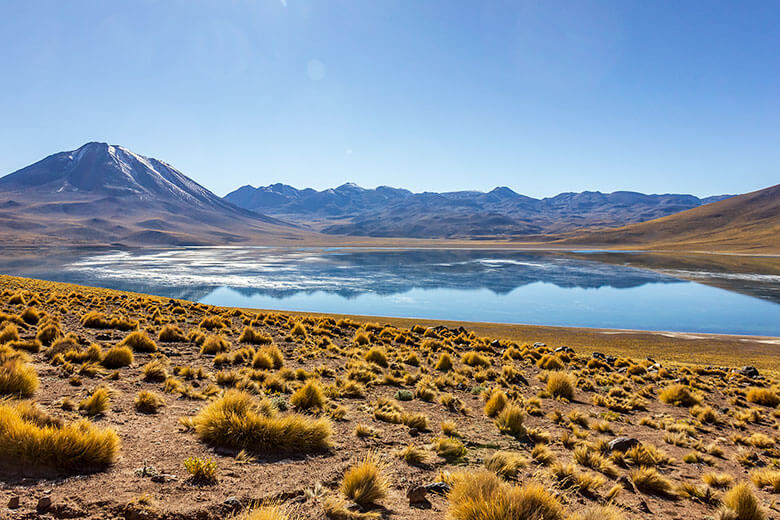 Laguna Miscanti no Atacama - dicas