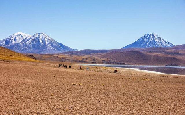 Lagunas Altiplânicas no Deserto do Atacama