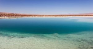 dicas para conhecer as Lagunas Escondidas no Deserto do Atacama