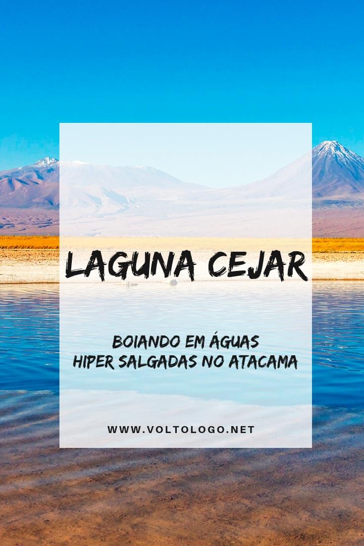 Passeio para a Laguna Cejar, no Deserto do Atacama: Descubra como funciona esse tour, qual a duração, quais lugares você irá conhecer e quanto custa.