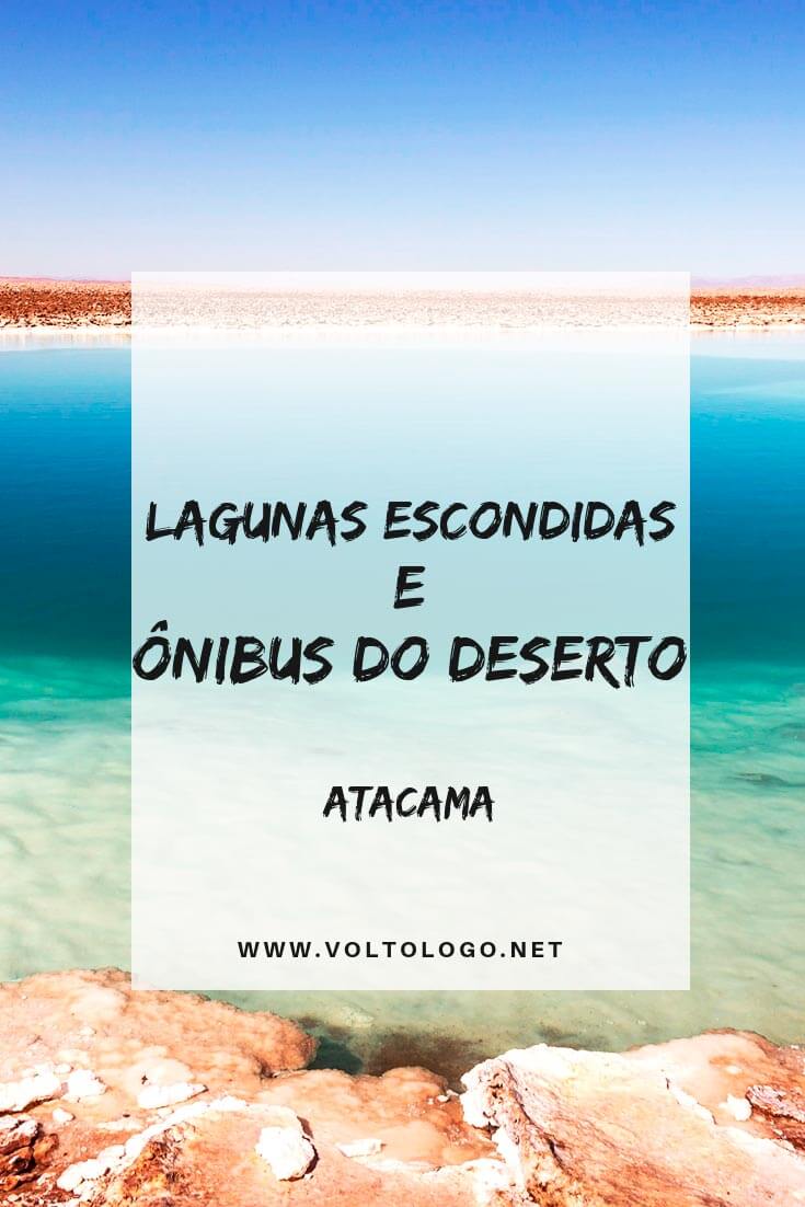 Passeio pelas Lagunas Escondidas de Baltinache e até o ônibus abandonado do deserto: Descubra tudo o que você deve saber para fazer o tour mais fotogênico do Atacama.
