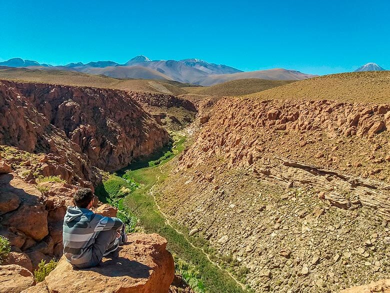 La Quebrada de los Cactus Atacama