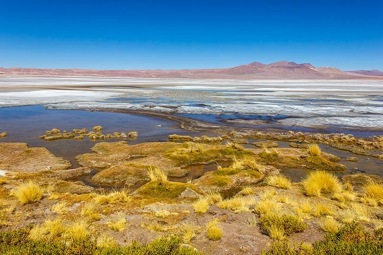 Salar de Quisquiro Deserto do Atacama