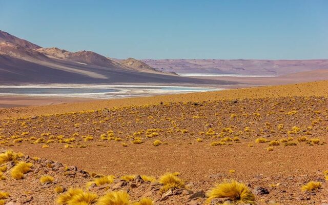 Salar de Tara no Deserto do Atacama - Dicas
