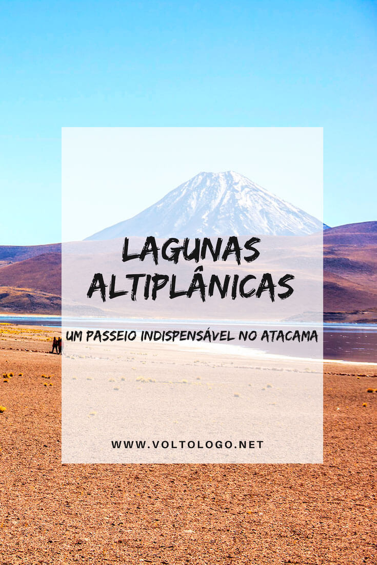 Passeio pelas Lagunas Altiplânicas e Piedras Rojas, no Deserto do Atacama (Chile): Descubra como é o tour mais famoso do deserto, o que você precisa saber para não se dar mal, e com qual agência fazer o passeio!