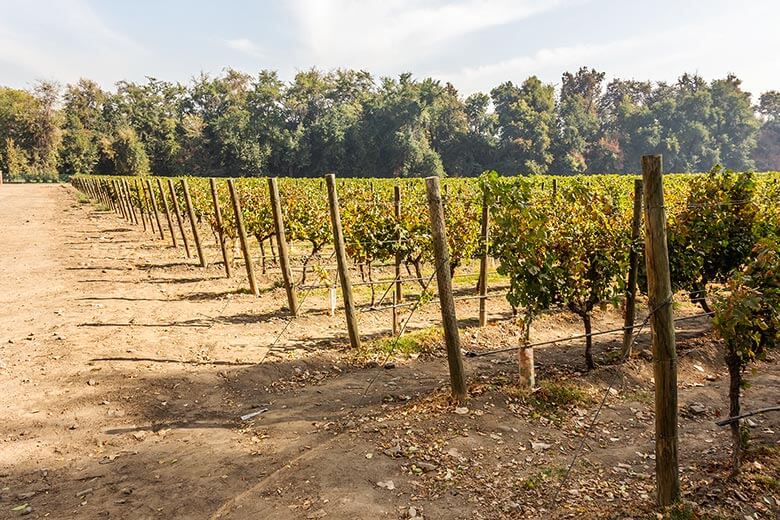 melhores vinícolas em Santiago