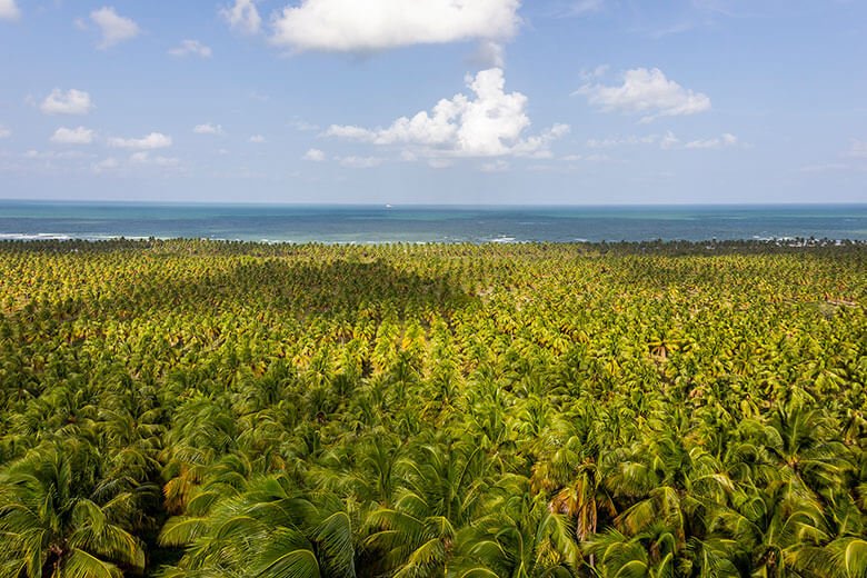 o que fazer nas praias de Maceió