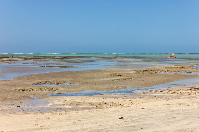 melhores passeios em Alagoas