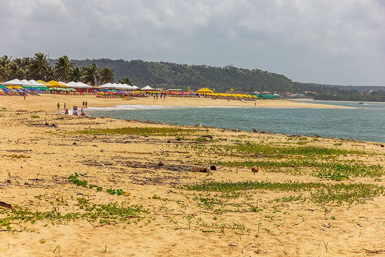 passeios pelas praias de Maceió