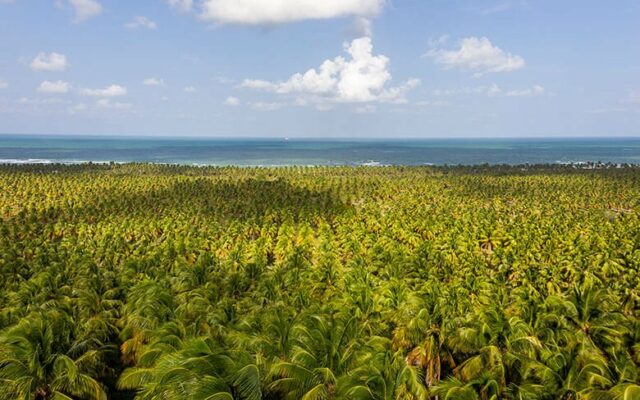 praias de Maceió