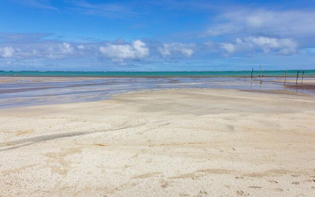 praias de Maragogi