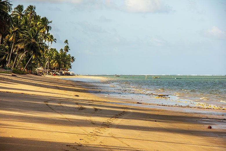 Maragogi melhores praias