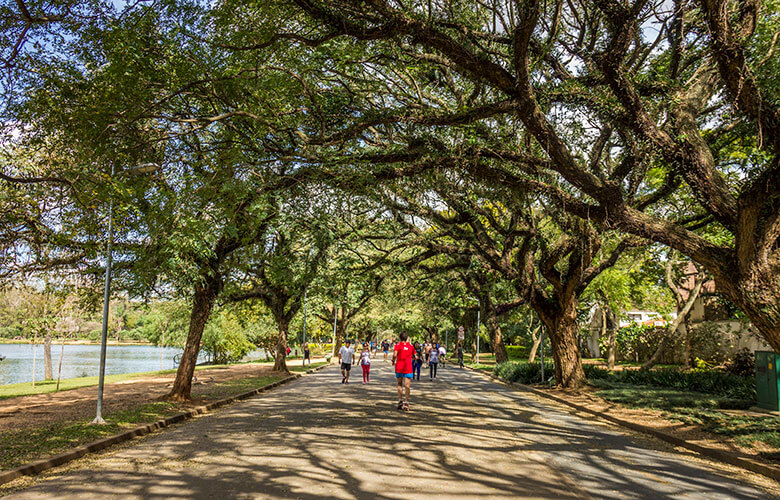 PASSEIO NO PARQUE