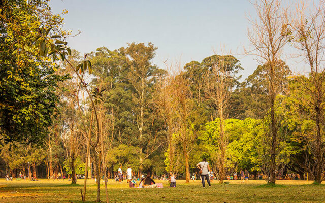 o que fazer no Parque Ibirapuera - São Paulo