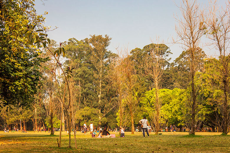 o que fazer no Parque Ibirapuera - São Paulo