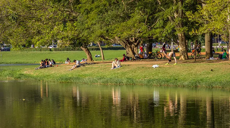 Árvores e lago no Parque Ibirapuera