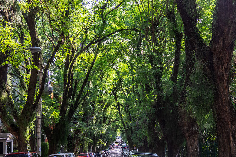 Rua Gonçalo de Carvalho