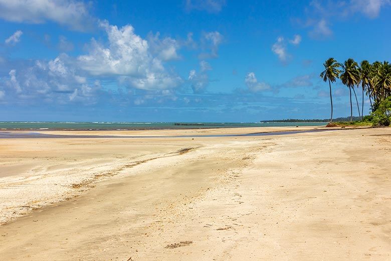 verão em Maragogi