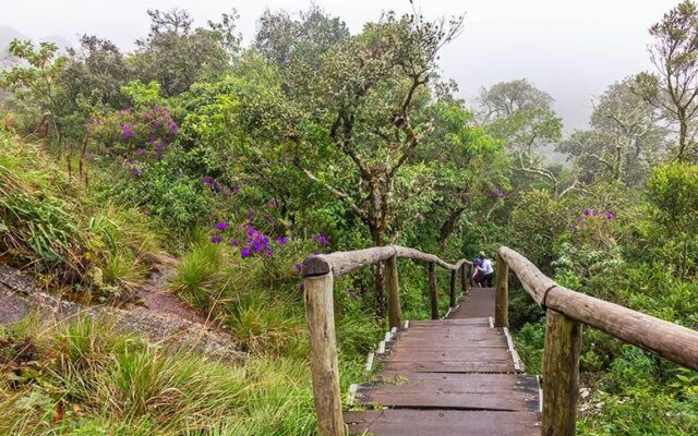 viagem a Monte Verde - dicas